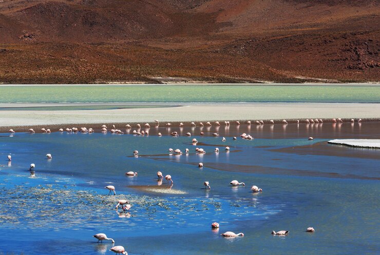 Unlimited Windows Hosting In Bolivia