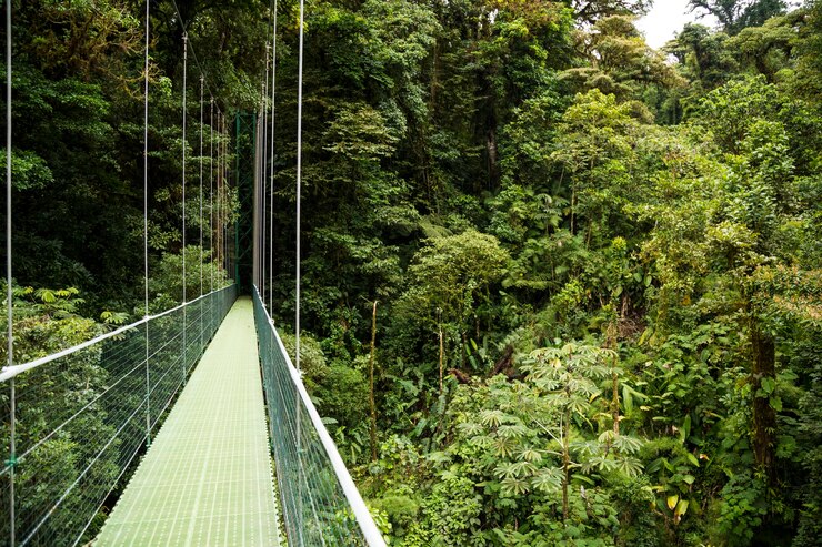 Unlimited Windows Hosting in Costa Rica