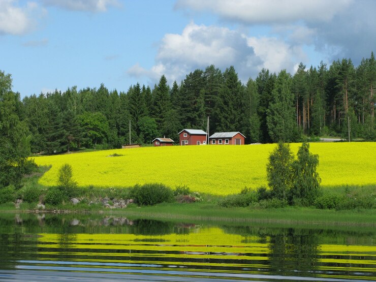 Unlimited Windows Hosting in Finland
