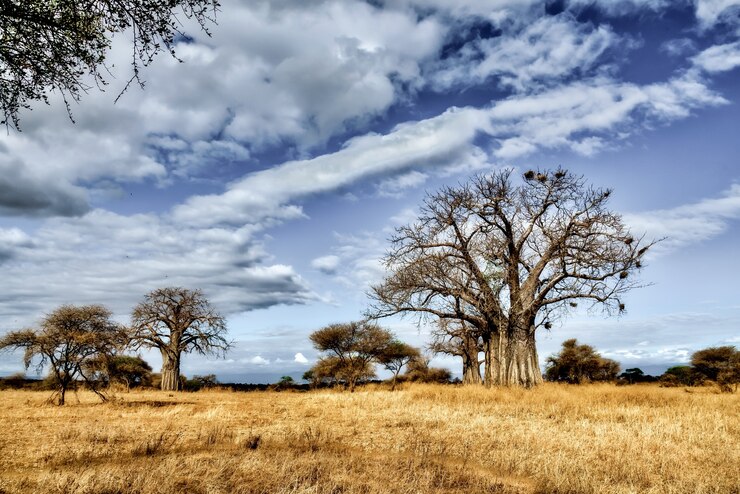Unlimited Windows Hosting in Tanzania